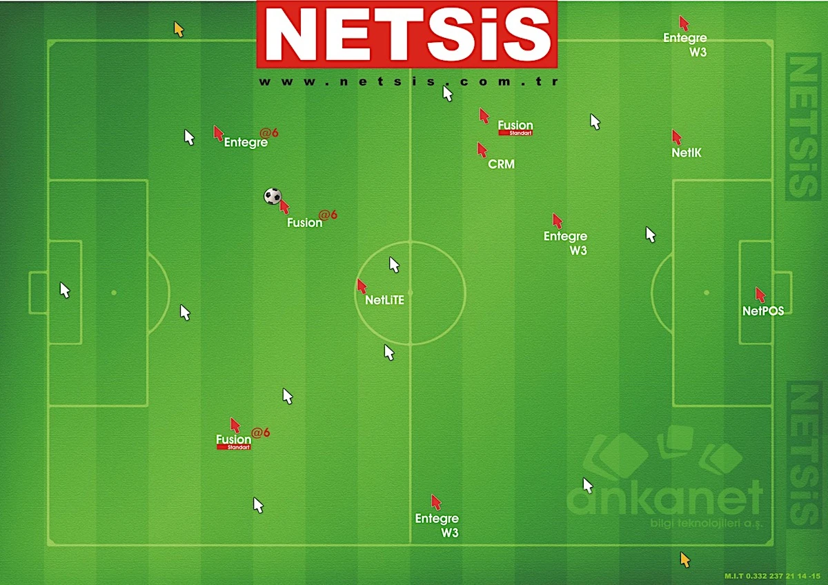 AnkaNet Addon NETSİS 2